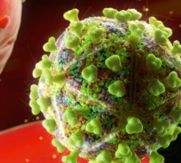 blood borne pathogens training