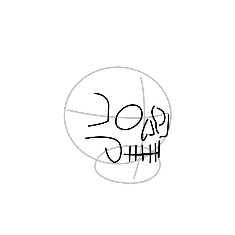 how to sketch skulls