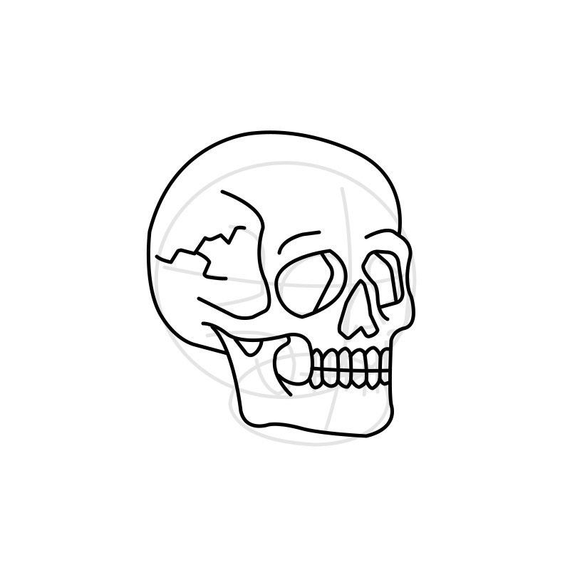 skull drawing