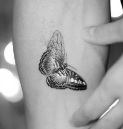 Butterfly tattoo that turns into geometric fine lines 