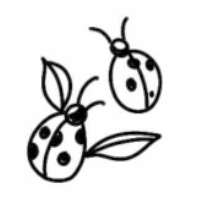 Ladybug Tattoo
