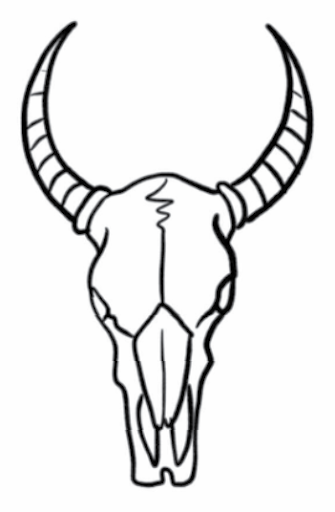 Ram’s skull