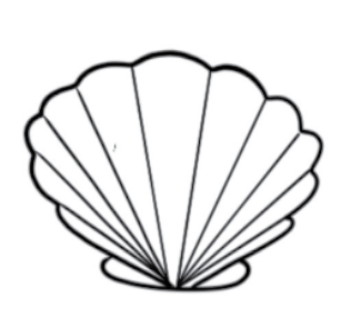 tiny tattoo of a seashell